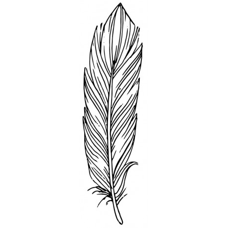 autocollant muraux plume petit