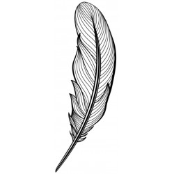 autocollants mural plume cuisine