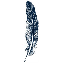 autocollants mural plume decoration