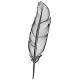 autocollants mural plume petit