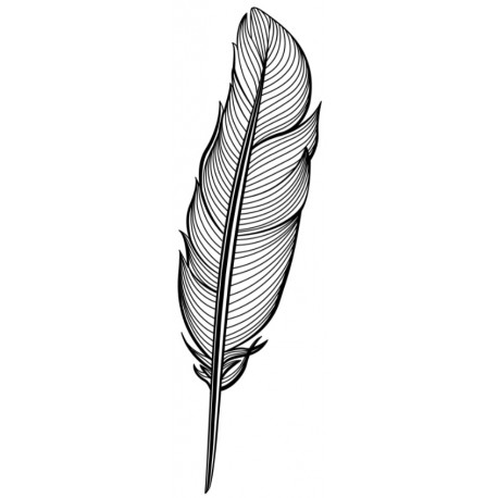 autocollants mural plume petit