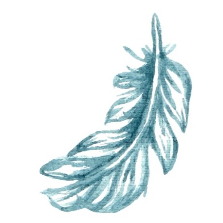 autocollants muraux plume bleu