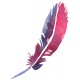 autocollants muraux plume deco