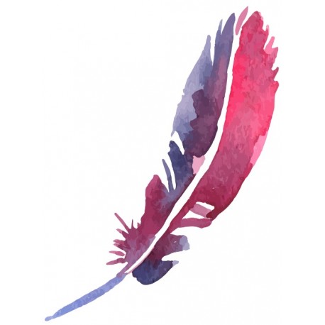 autocollants muraux plume deco