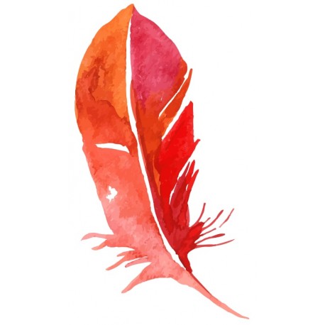 autocollants muraux plume rouge