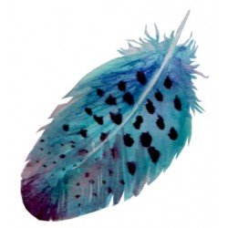 sticker mural plume bleu