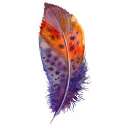 sticker mural plume chambre