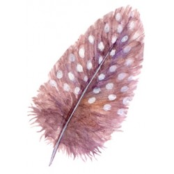 sticker mural plume design