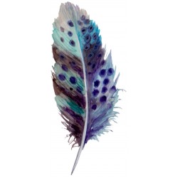 sticker mural plume salon