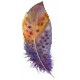 sticker mural plume violette