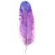 sticker mural plume violette chambre