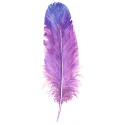 sticker mural plume violette chambre
