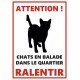 Plaque attention chat en balade