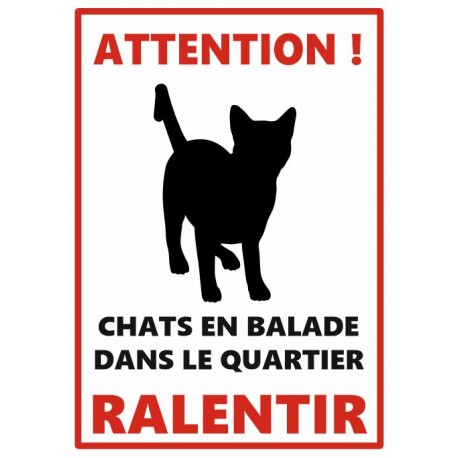 Plaque attention chat en balade