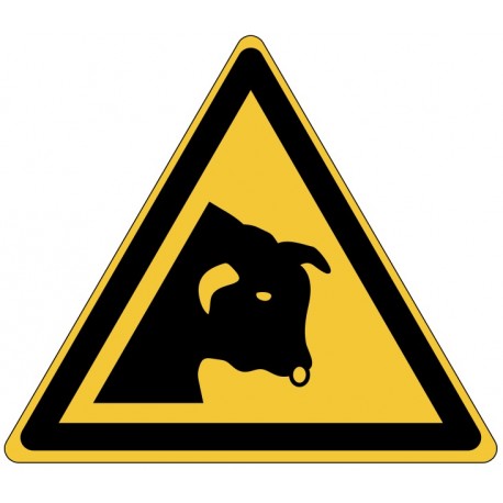 Panneau ISO 7010 W034 Danger Taureau