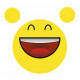 Sticker - Smile joyeux REFG116