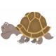 Autocollant Tortue