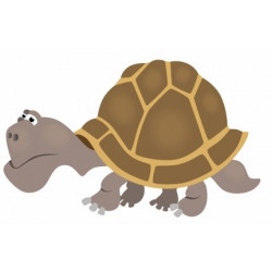 Autocollant Tortue