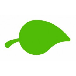 Sticker - Feuille REFH080