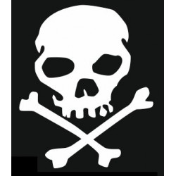 Sticker Tête de mort voiture