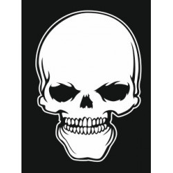 Sticker Tête de mort abime