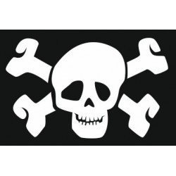 Autocollant mural skull