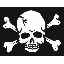 Autocollant Tête de mort voiture