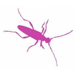 Autocollant Insecte avec patte longue