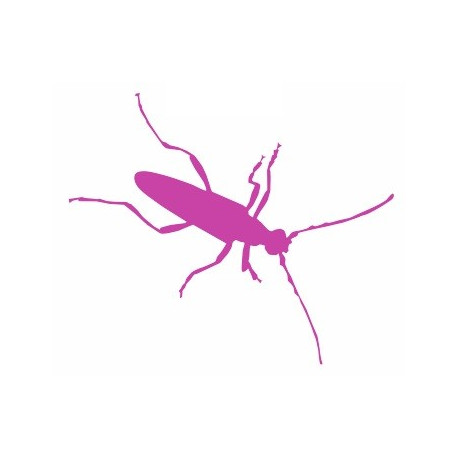 Autocollant Insecte avec patte longue