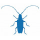 Autocollant Insecte