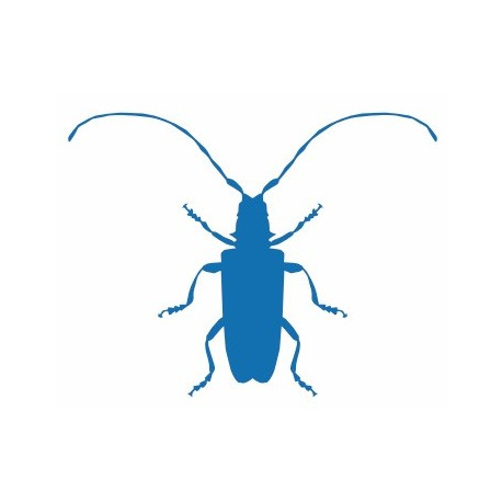 Autocollant Insecte