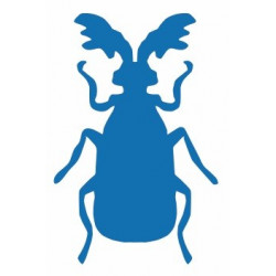 Autocollant Insecte