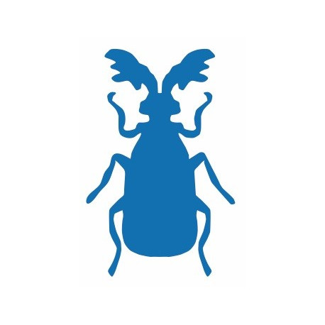 Autocollant Insecte