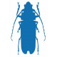 Sticker Insecte
