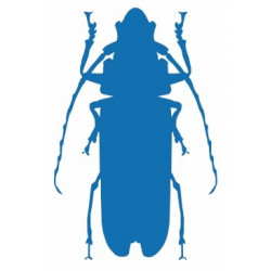 Sticker Insecte