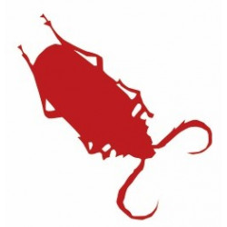 petit Autocollant Insecte