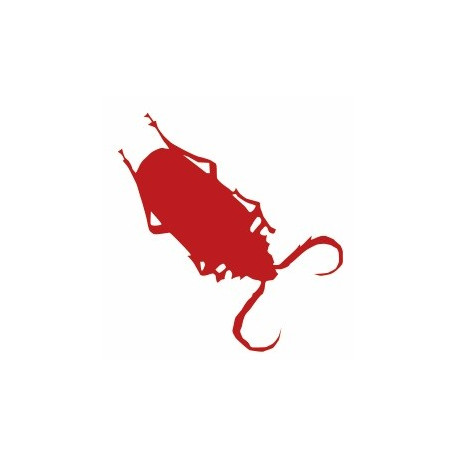 petit Autocollant Insecte