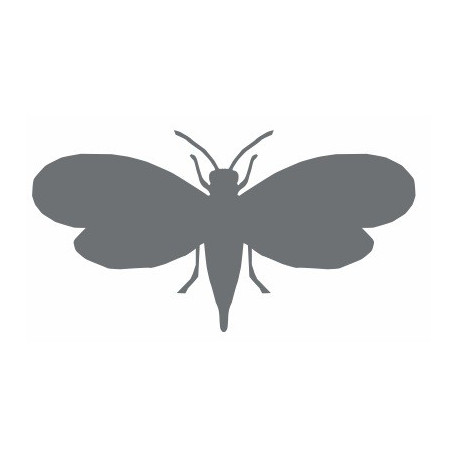 Autocollant Insecte volant