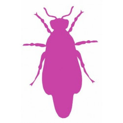 deco Autocollant Insecte