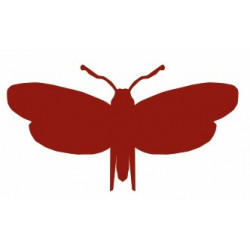 Autocollant mural Insecte volant