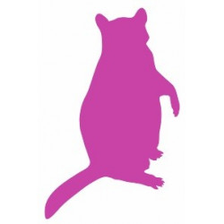 Autocollant Souris debout