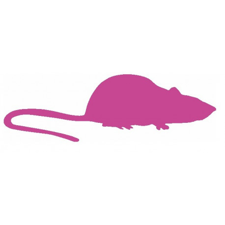 Autocollant Souris