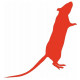 Autocollant Rat cherche nourriture