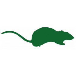 Autocollant Rat mural