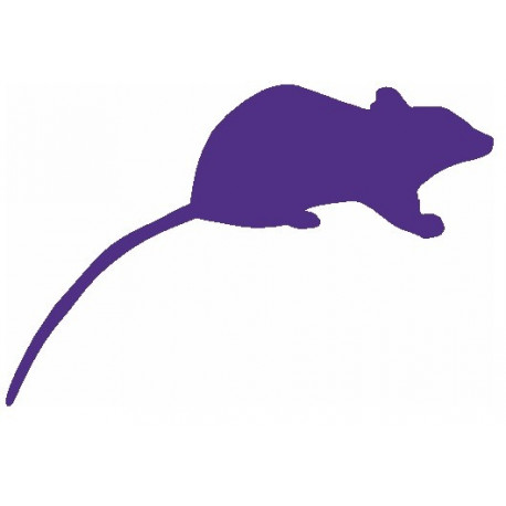 Autocollant petite Souris