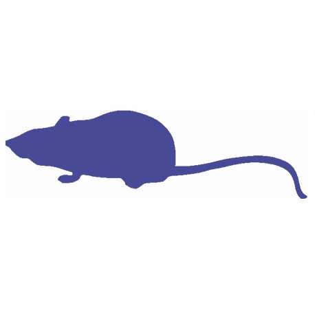 Autocollant Souris veut manger