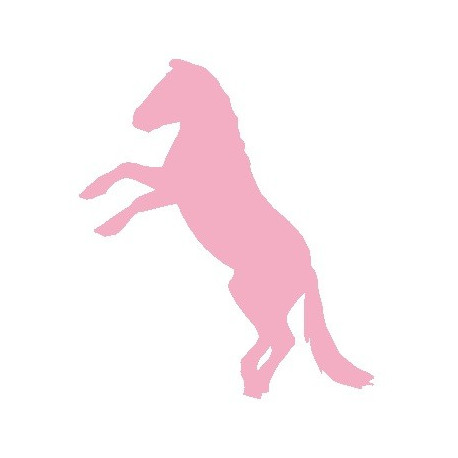 Sticker Cheval saut mural