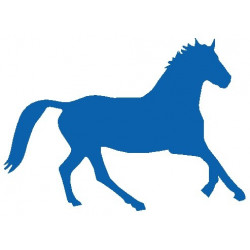 Sticker Cheval decoration