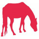 Sticker Cheval