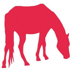 Sticker Cheval